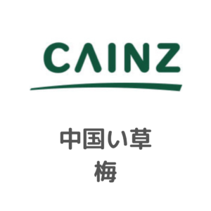 カインズ様_中国産_梅