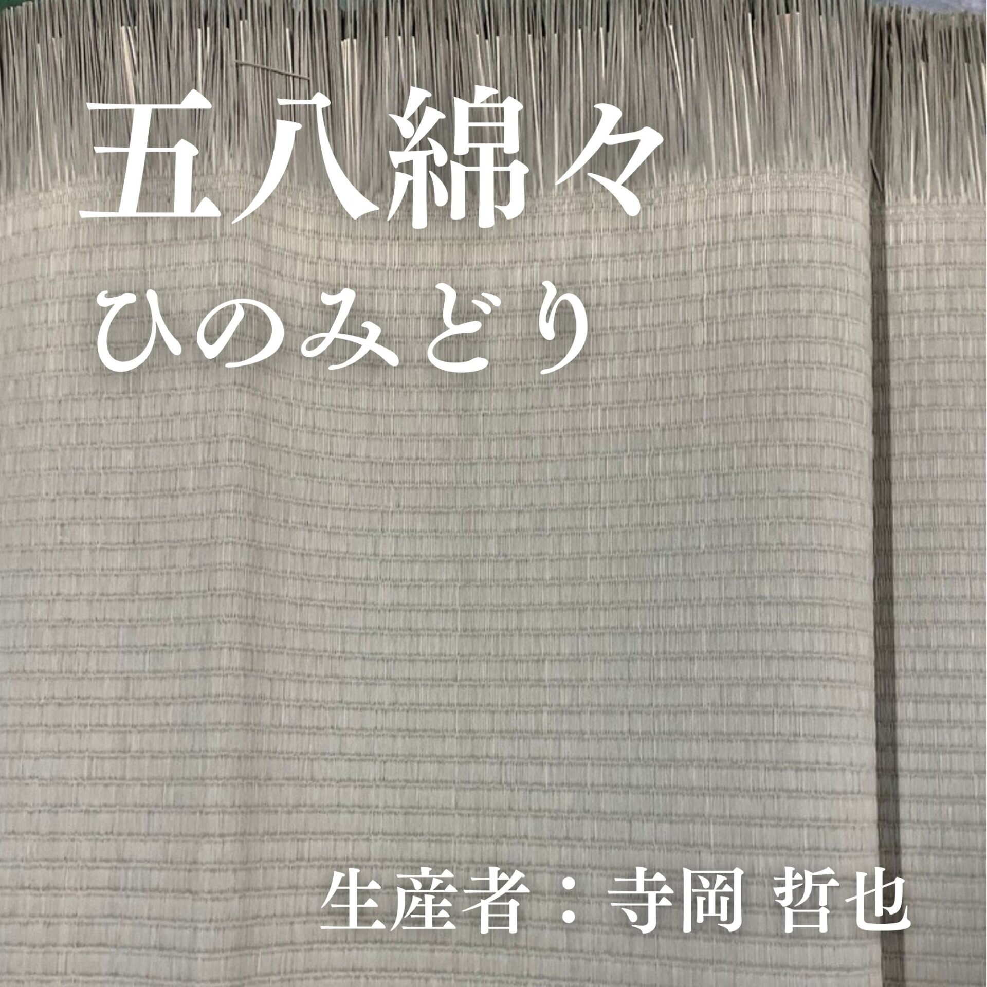 五八綿々_ひのみどり
