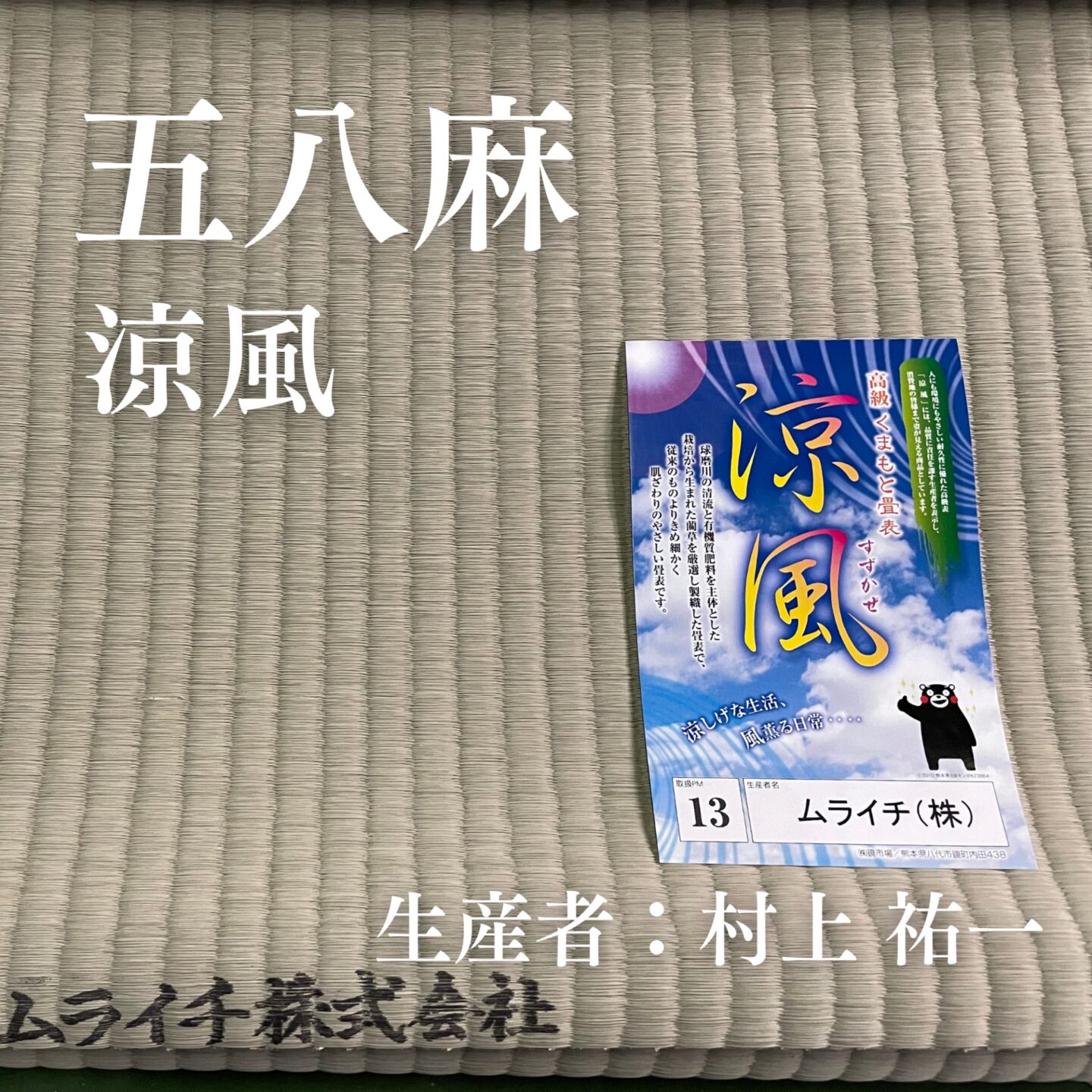 五八麻_涼風