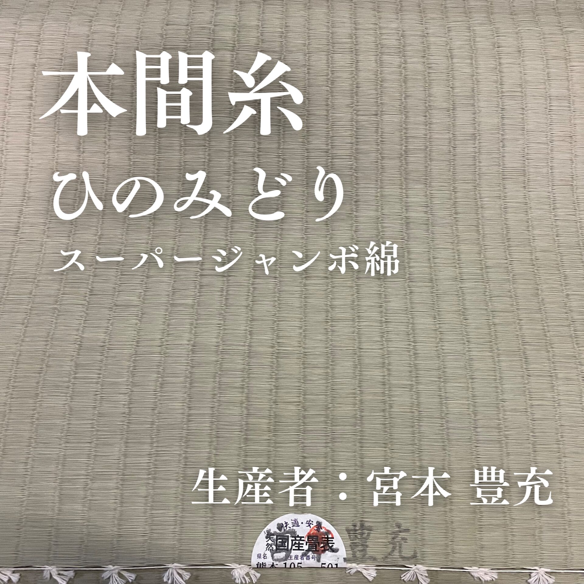 本間糸_ひのみどり_スーパージャンボ綿
