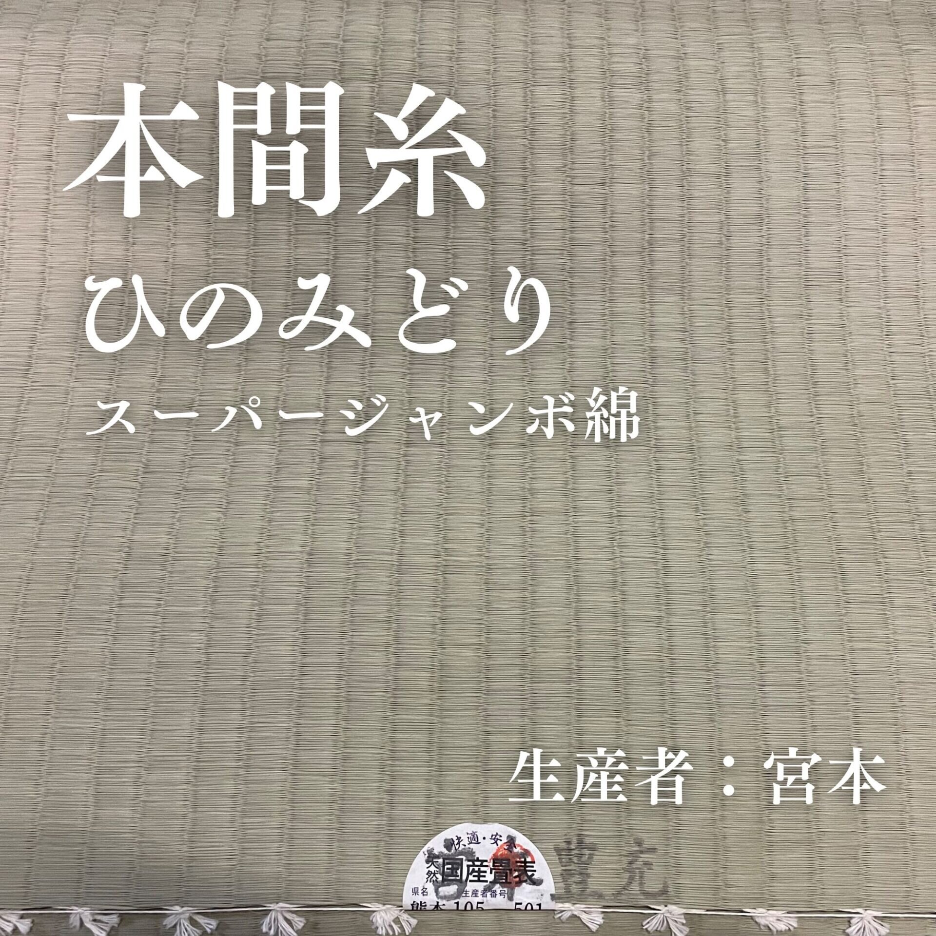 本間糸_ひのみどり_スーパージャンボ綿