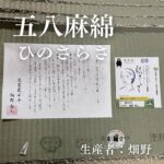 五八麻綿_ひのさらさ