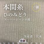 本間糸_ひのみどり_スーパージャンボ綿_俵