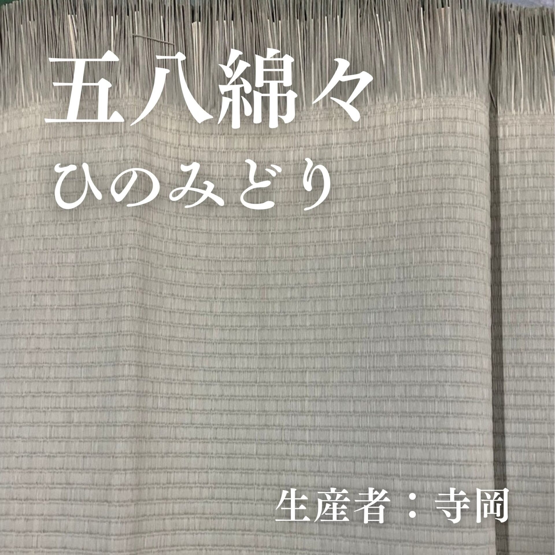 五八綿々_ひのみどり