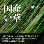 い草インソール