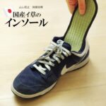 侍インソール_ケース