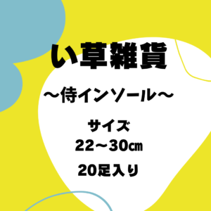 侍インソール_ケース