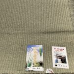 五八麻綿_ひのみどり