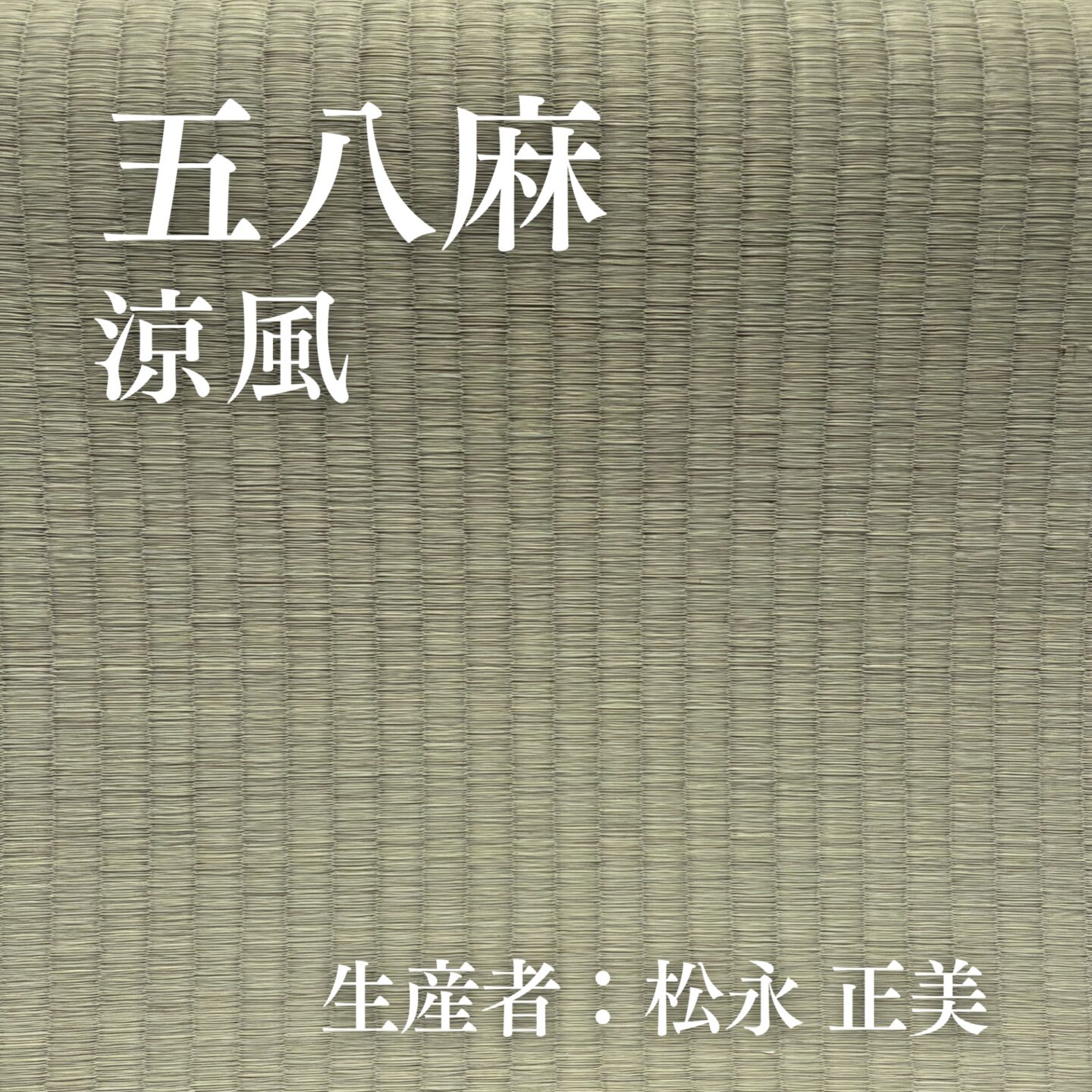 五八麻_涼風