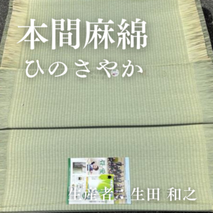 本間麻綿_ひのさやか