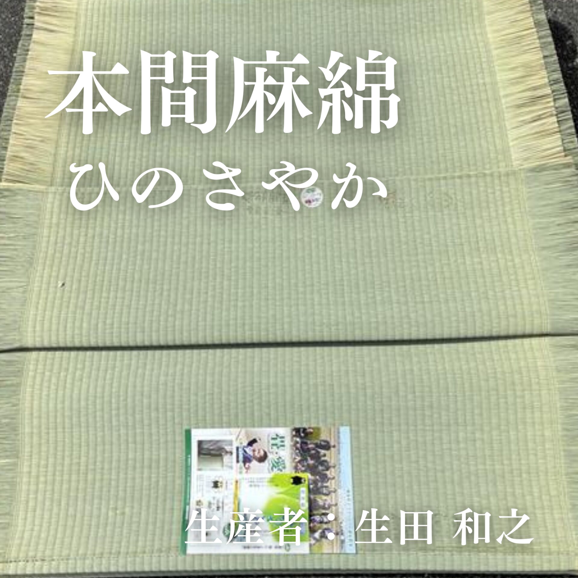 本間麻綿_ひのさやか