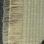 本間綿々_ひのみどり