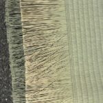 本間麻綿_ひのさくら_俵