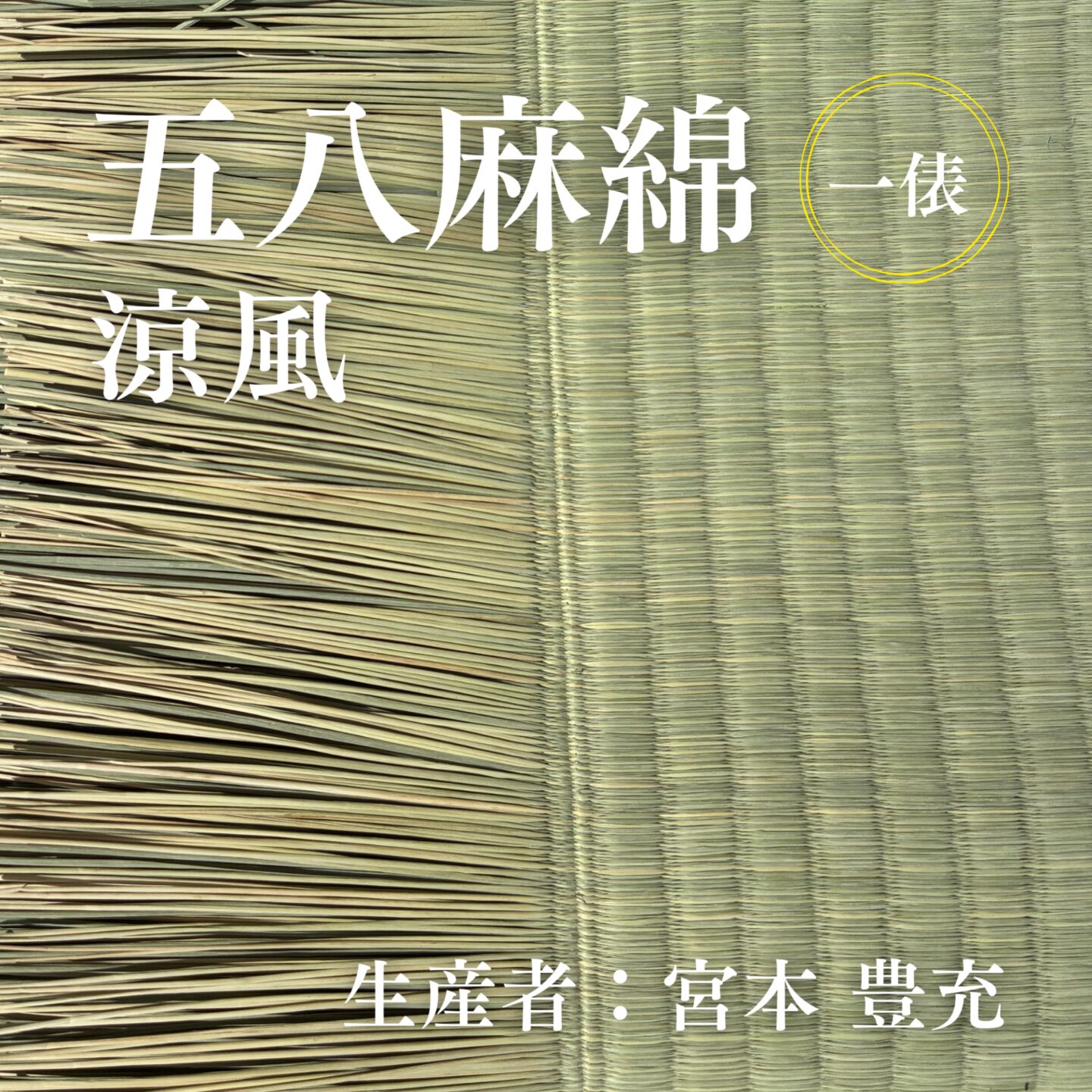 五八麻綿_涼風_俵