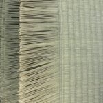 本間綿々_ひのみどり