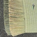 本間麻綿_ひのさやか